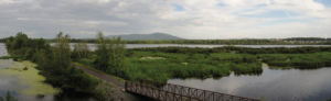 Lire la suite à propos de l’article Projet collectif du bassin versant du lac Boivin – Les milieux municipal et agricole de la Haute-Yamaska prêts à passer à l’action