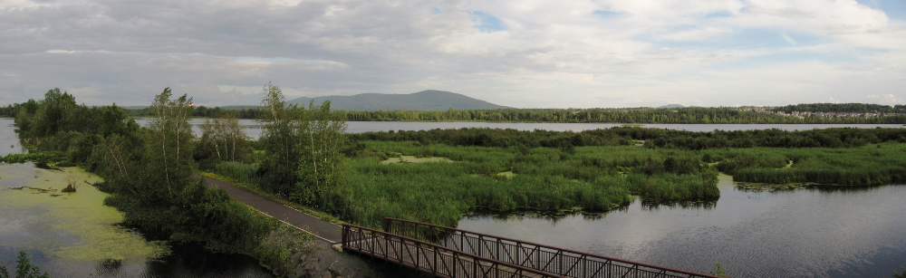 Projet collectif du bassin versant du lac Boivin – Les milieux municipal et agricole de la Haute-Yamaska prêts à passer à l’action
