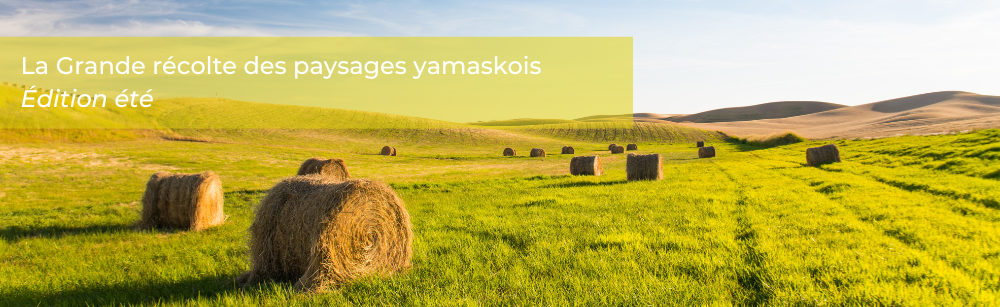 You are currently viewing La Grande récolte des paysages yamaskois : photo gagnante du printemps dévoilée et lancement de la portion estivale du concours!