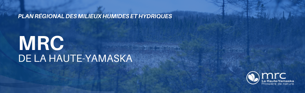 You are currently viewing La MRC de La Haute-Yamaska entend protéger 99 % de ses milieux humides et hydriques