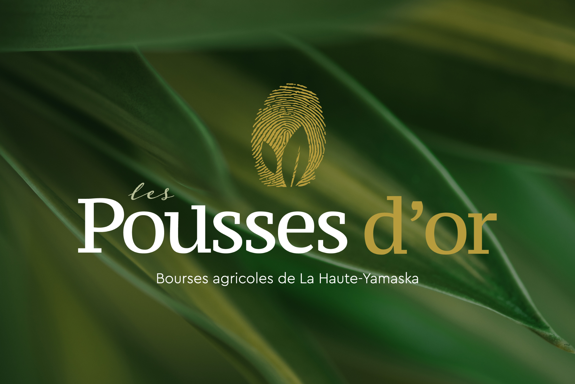 Lire la suite à propos de l’article 8 récipiendaires reçoivent les grands honneurs lors de la 1re édition des Pousses d’or