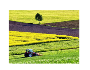 Lire la suite à propos de l’article Programme d’aide financière pour une agriculture engagée dans la réduction du phosphore.