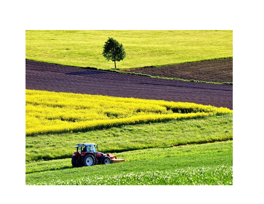 You are currently viewing Programme d’aide financière pour une agriculture engagée dans la réduction du phosphore.
