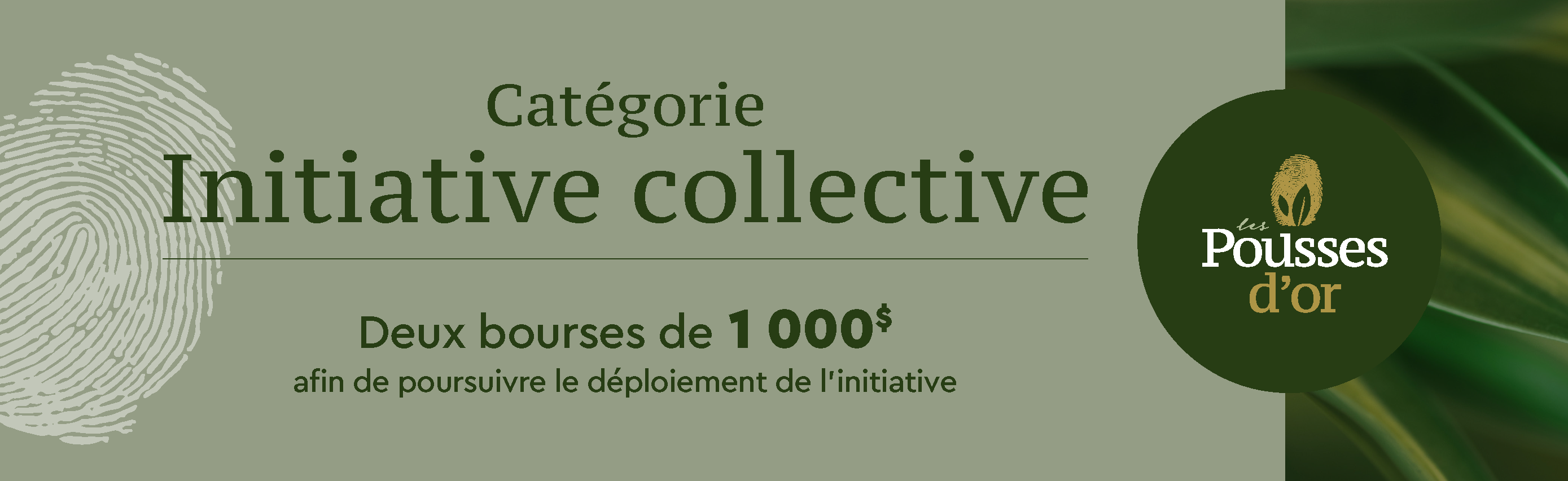 Initiative collective style=