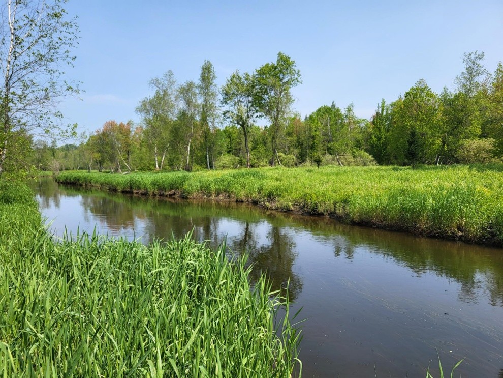 You are currently viewing Invitation aux propriétaires de milieux humides à une soirée d’informations portes ouvertes.