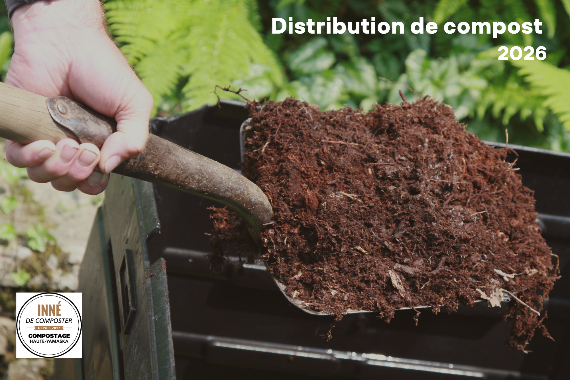 You are currently viewing 